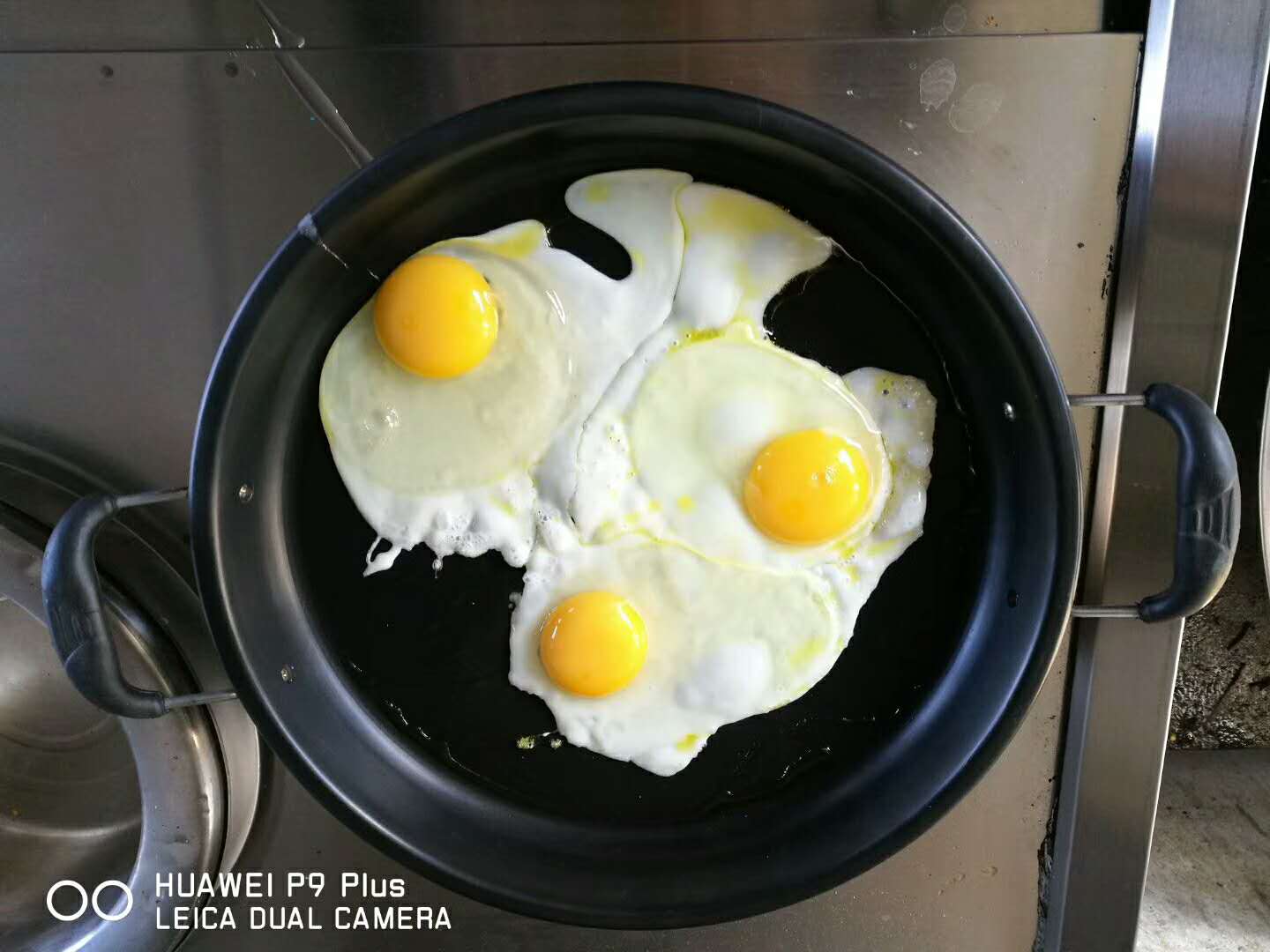 微信圖片_20171014130216.jpg 微信圖片_20171014130216.jpg